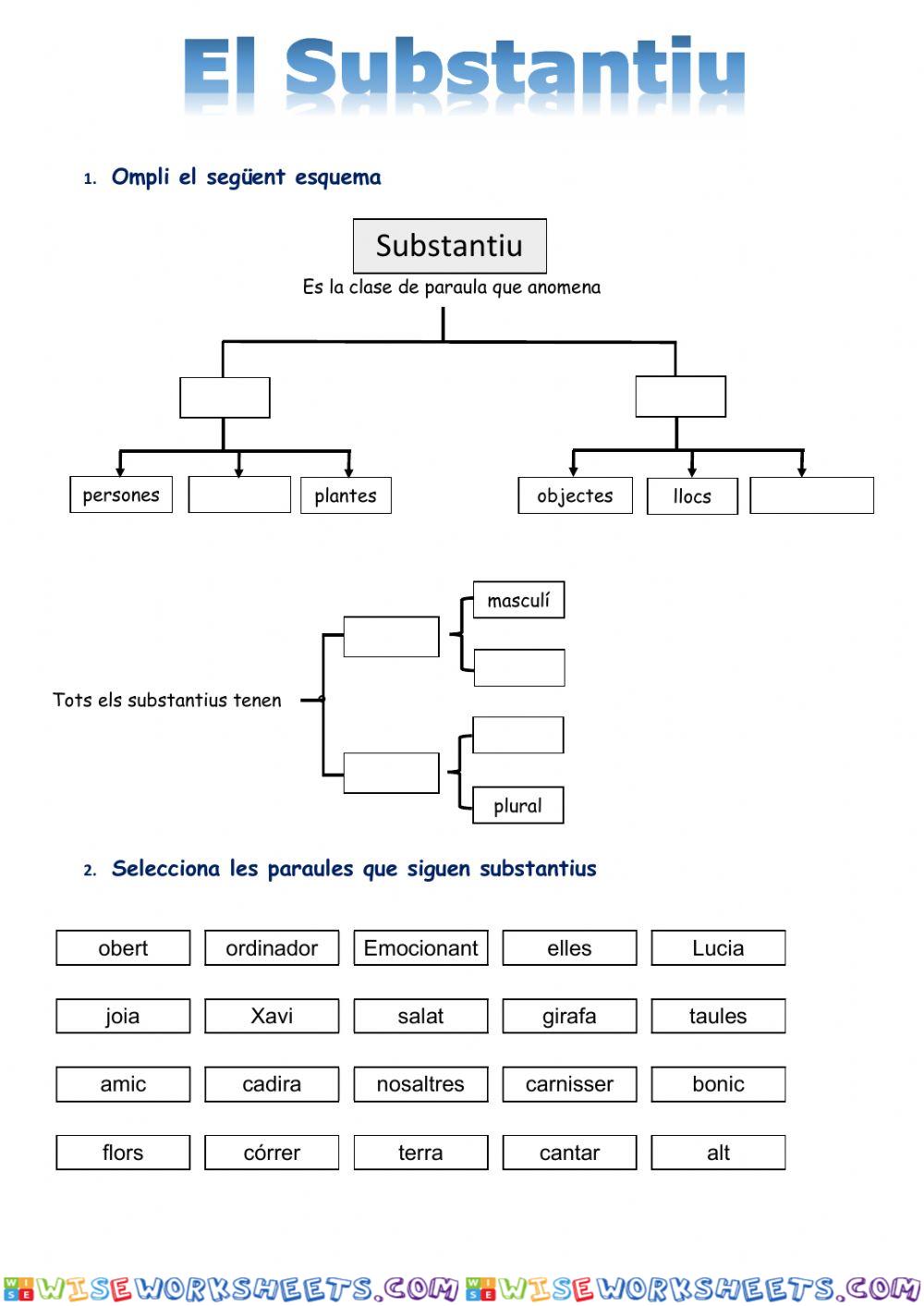 Els Substantius