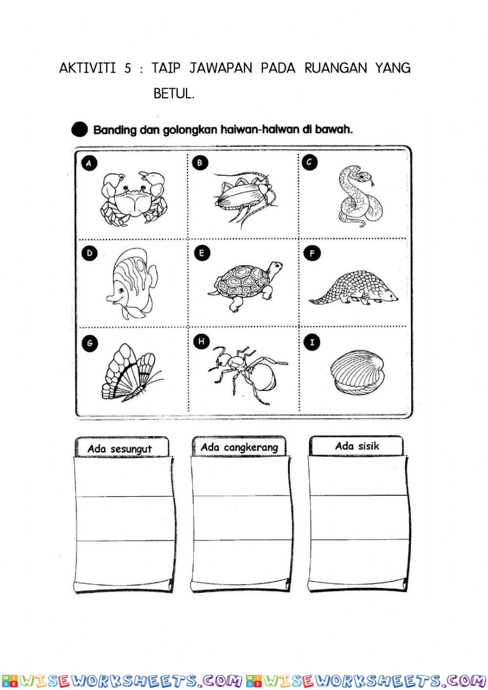 worksheet