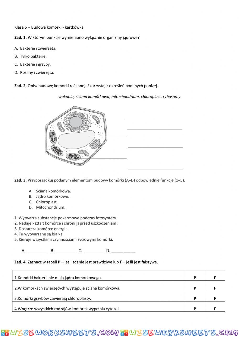 Klasa 5 - Budowa komórki - kartkówka