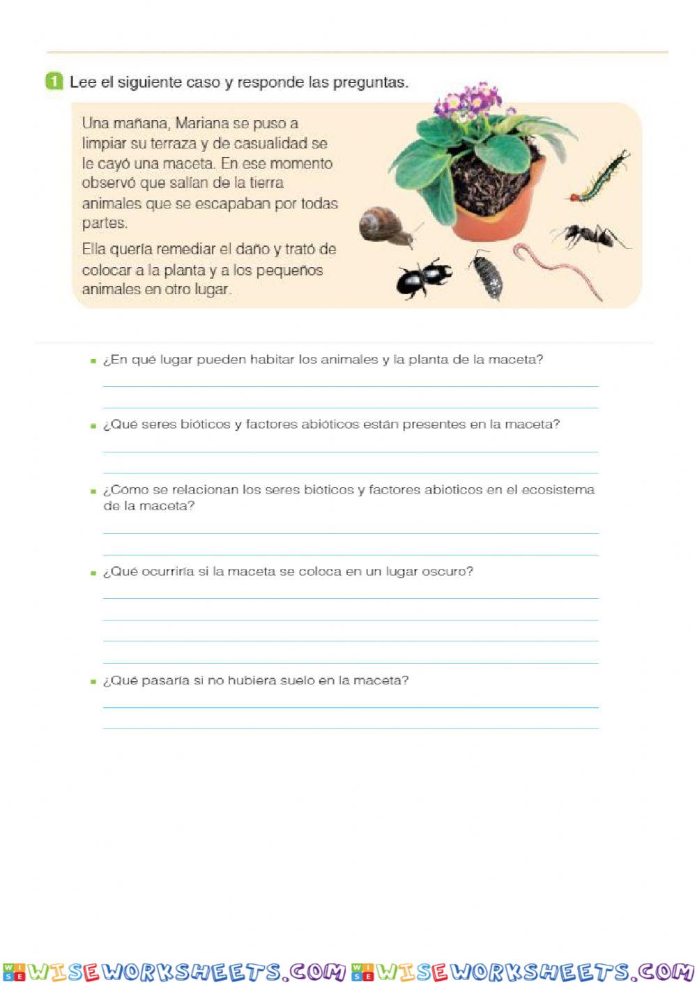 worksheet