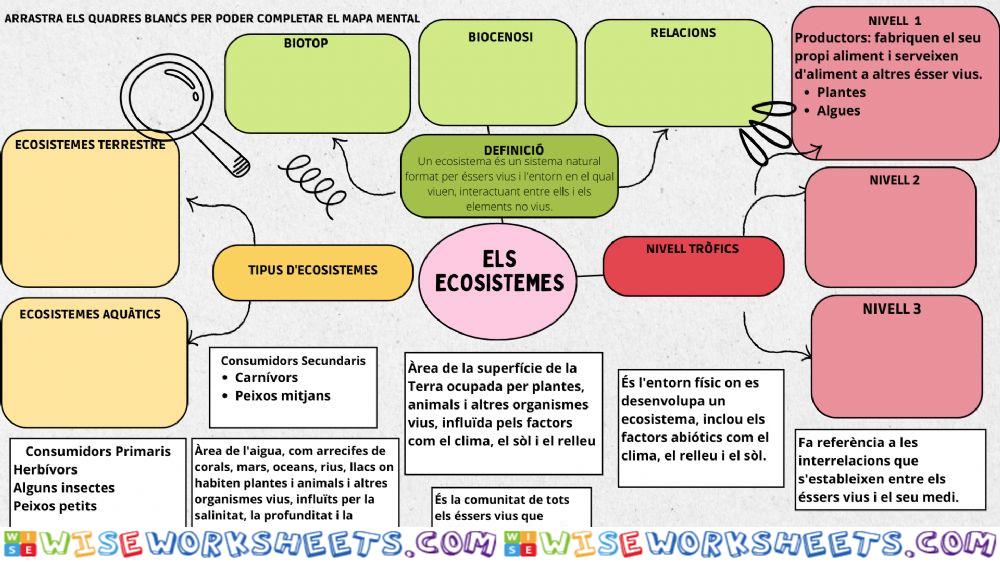 Els ecosistemes