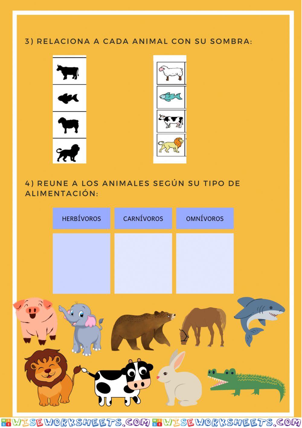 worksheet