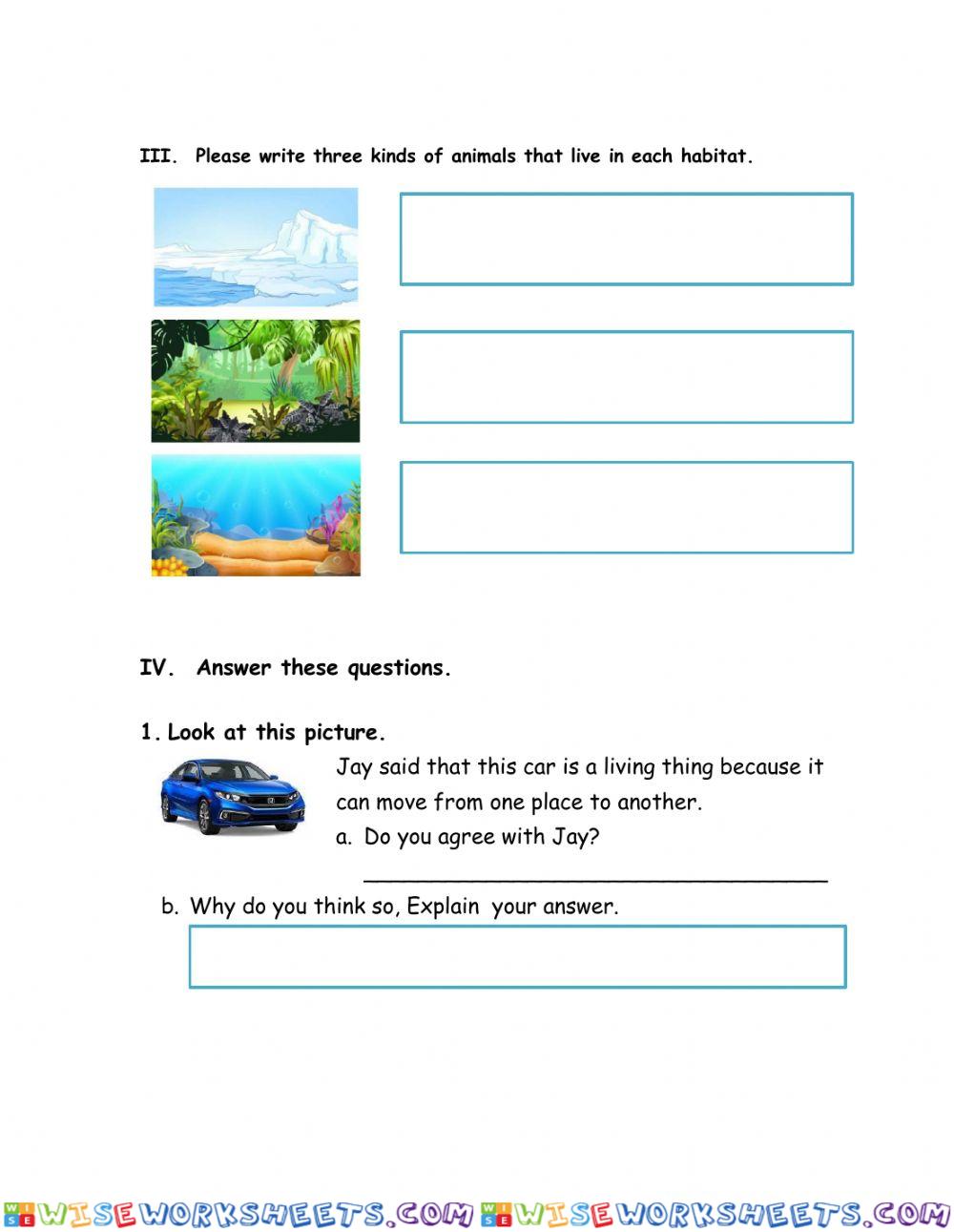 worksheet