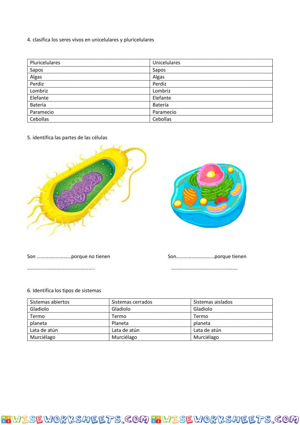 worksheet