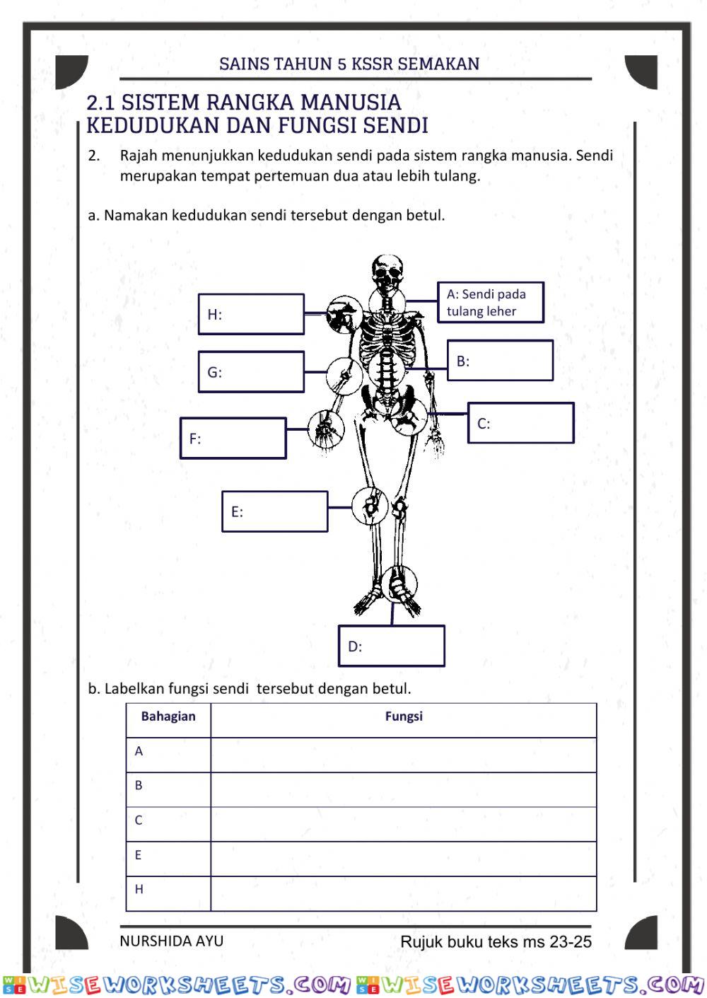 worksheet