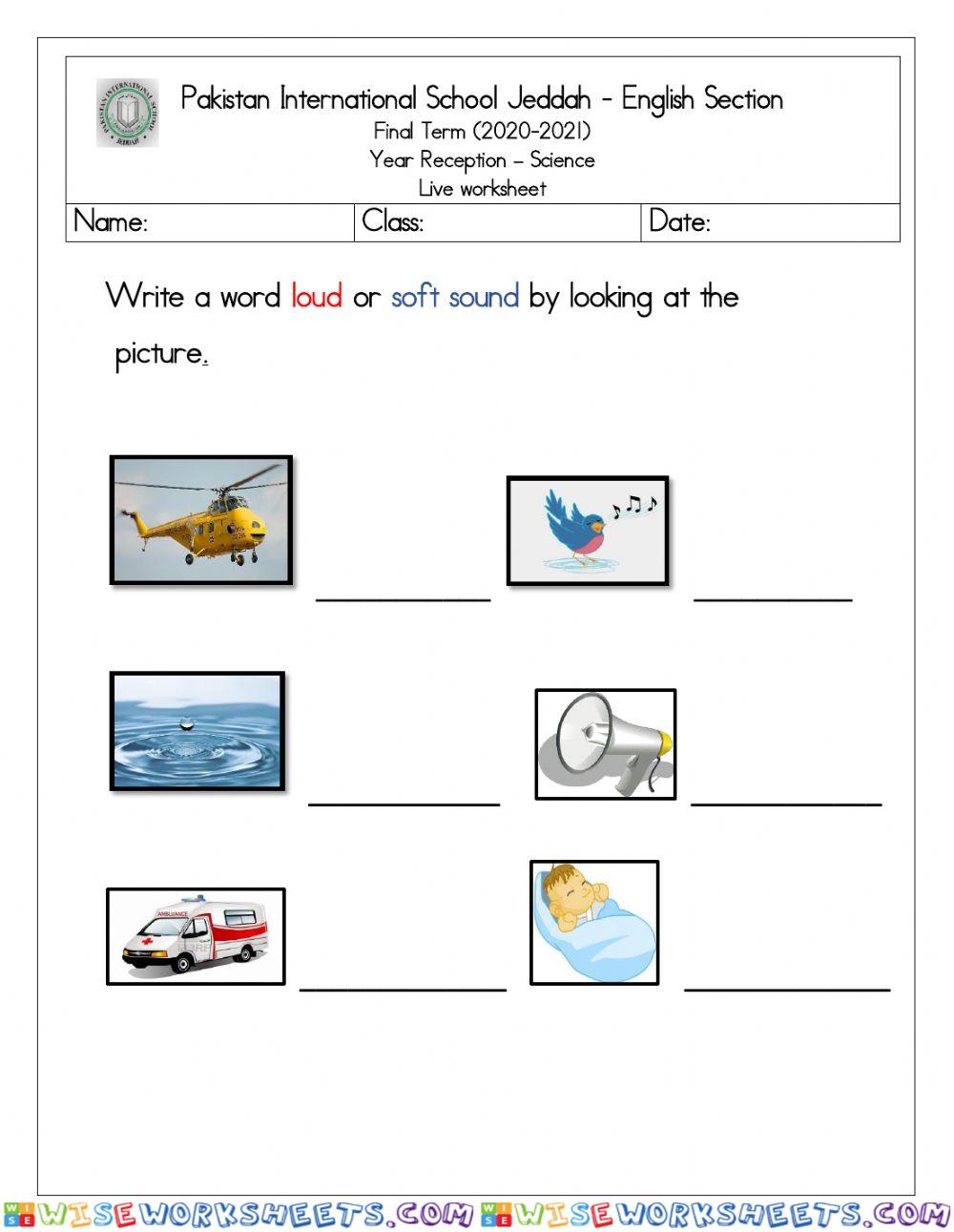 Science live worksheet sources of sound