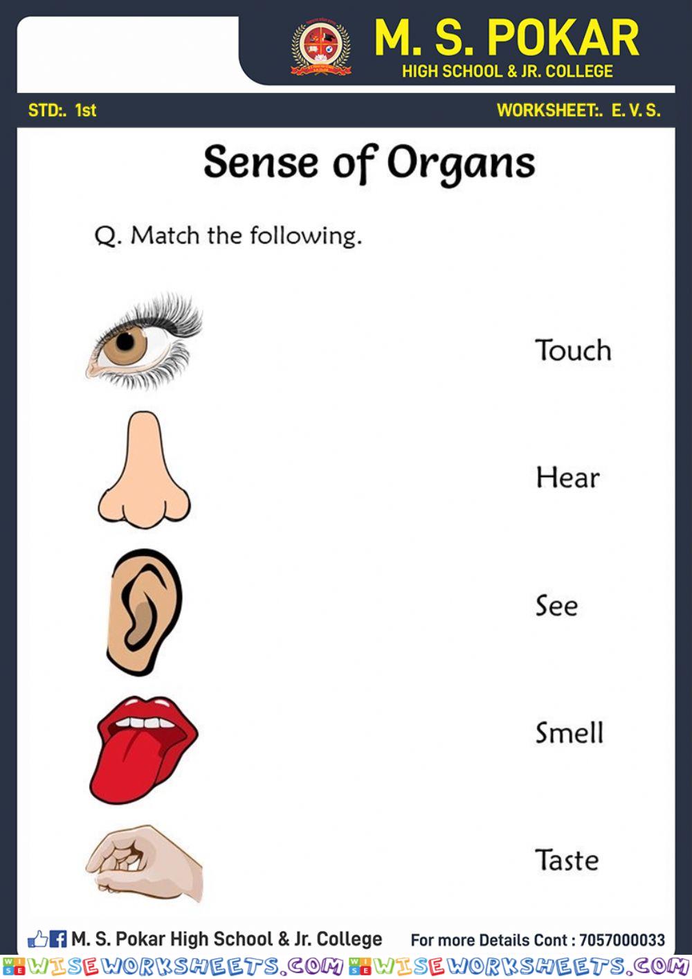 Sense of organs