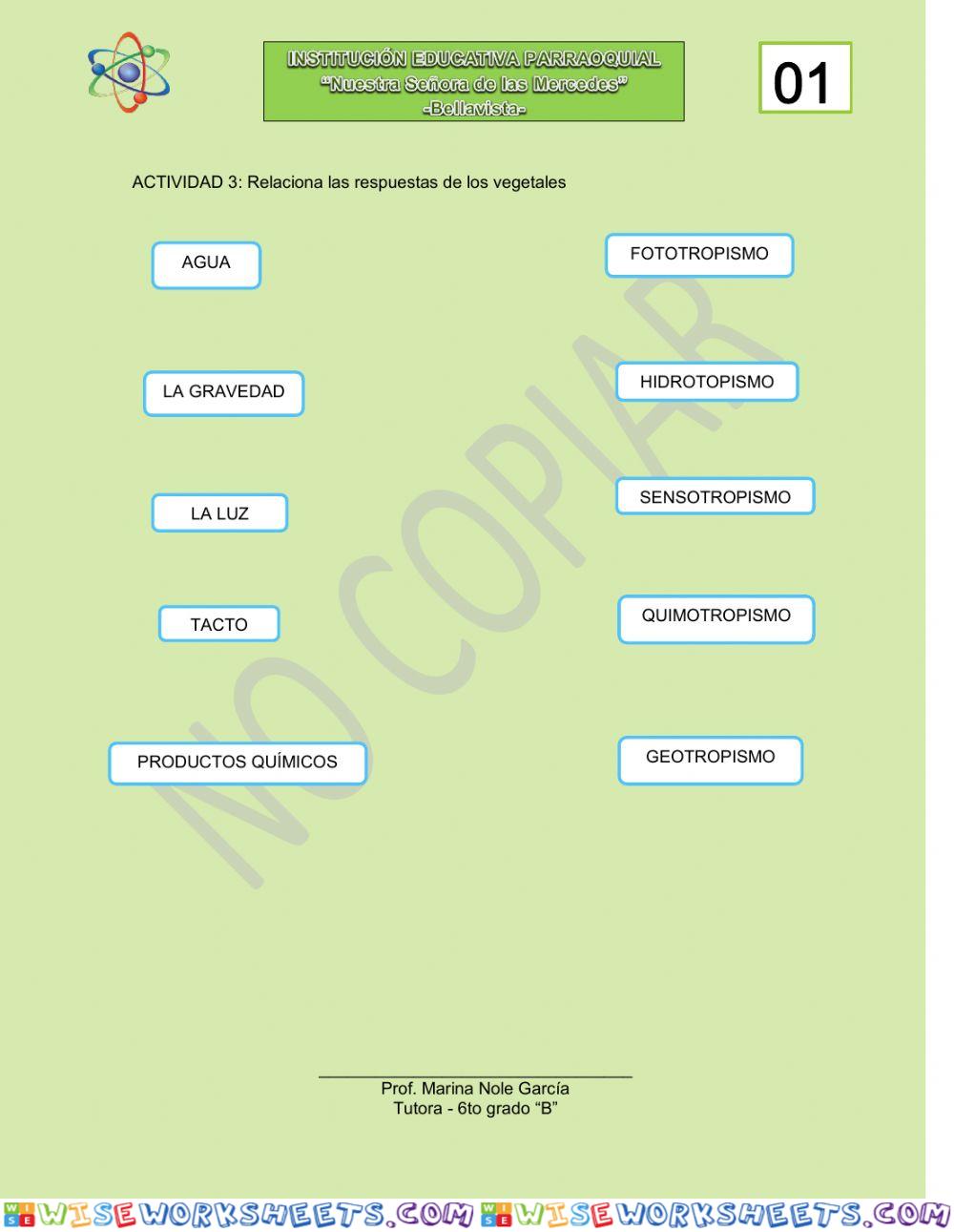worksheet