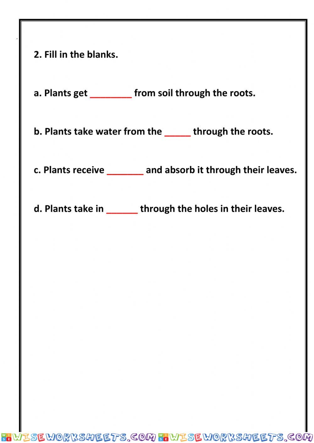 worksheet