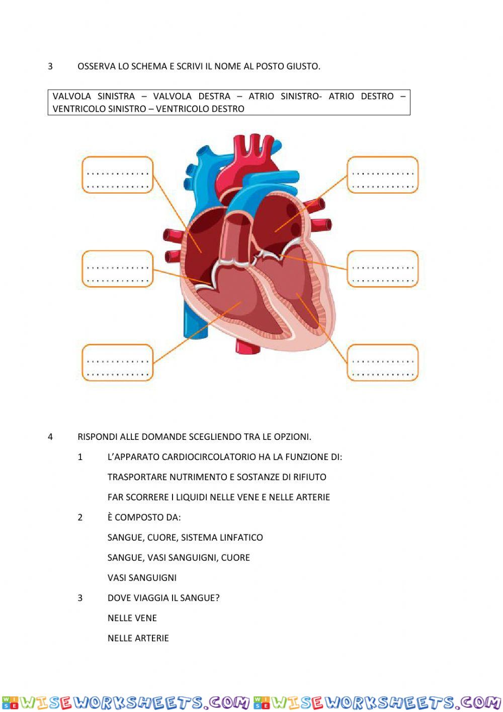 worksheet