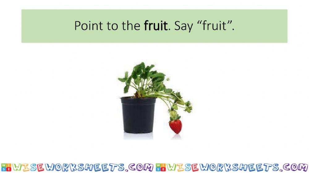 worksheet