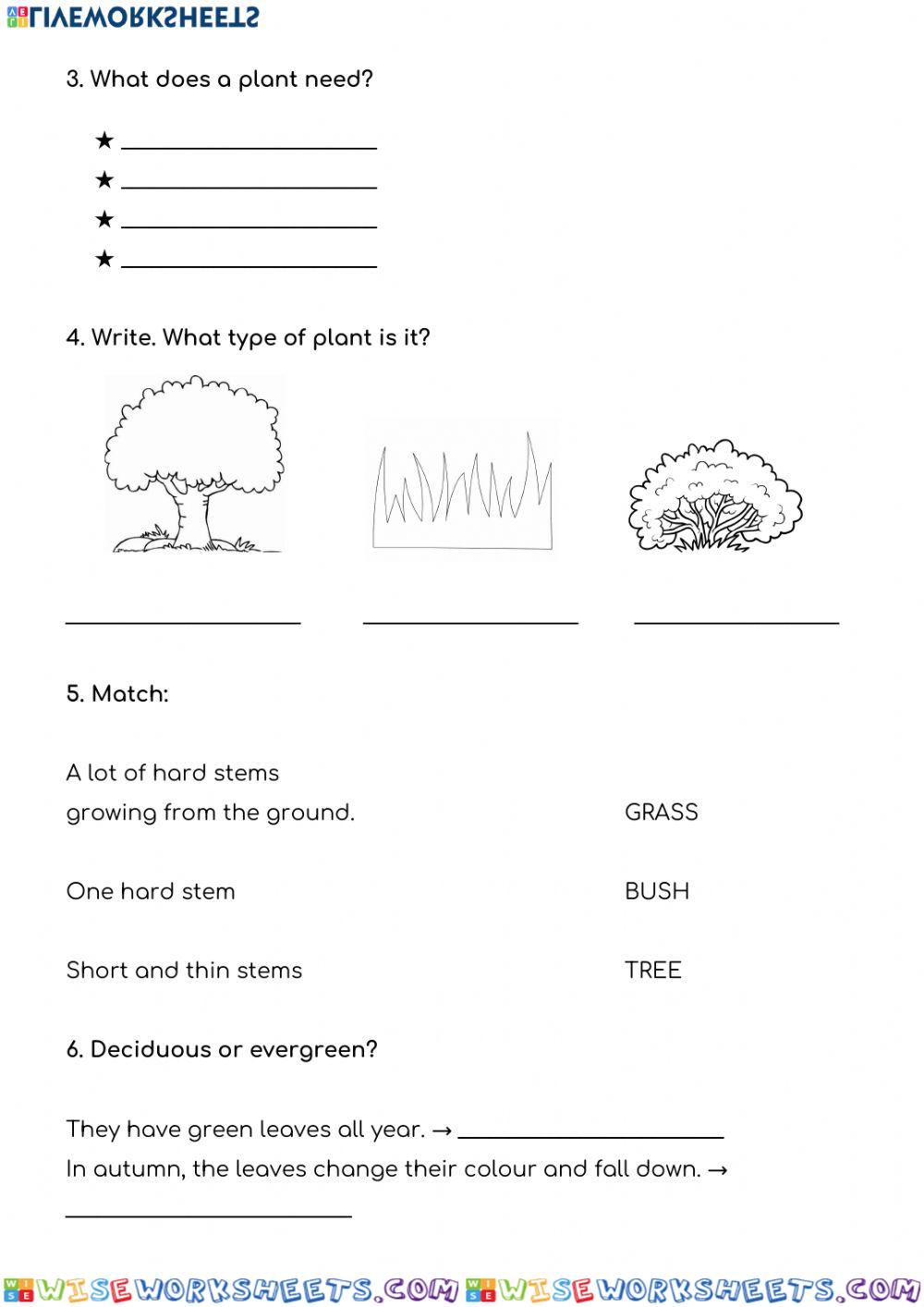 worksheet