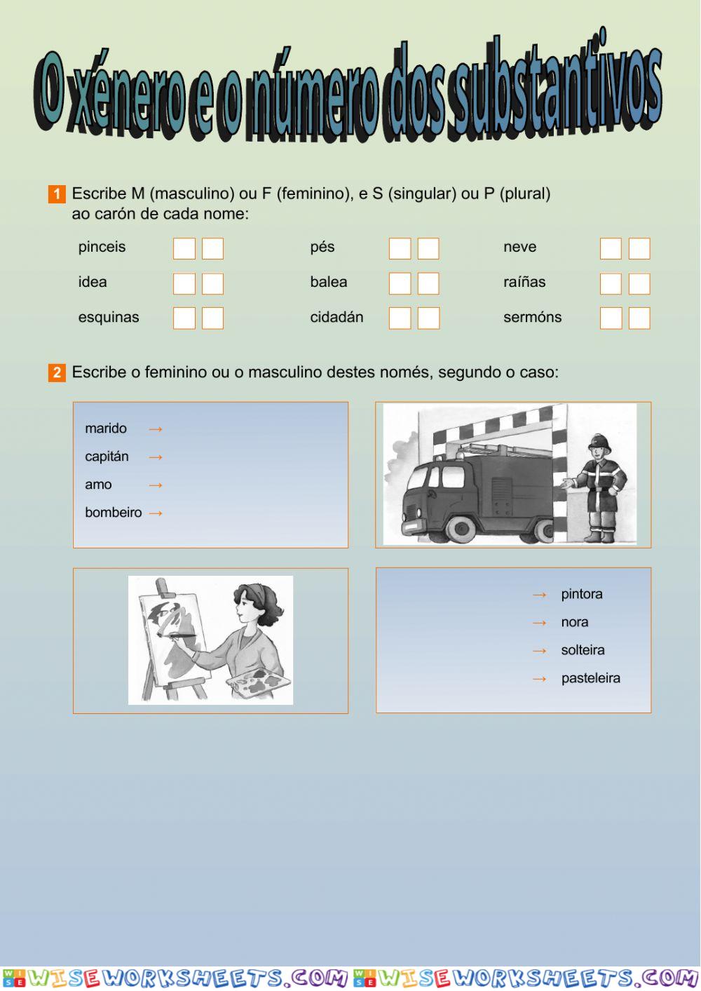 O xénero e o número dos substantivos