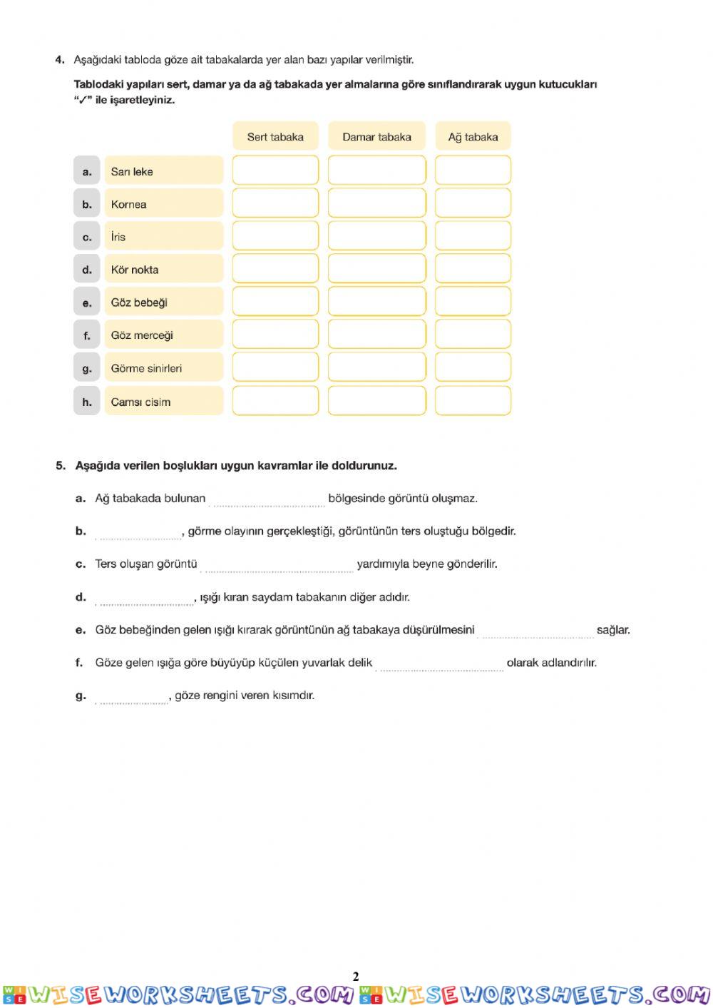 worksheet