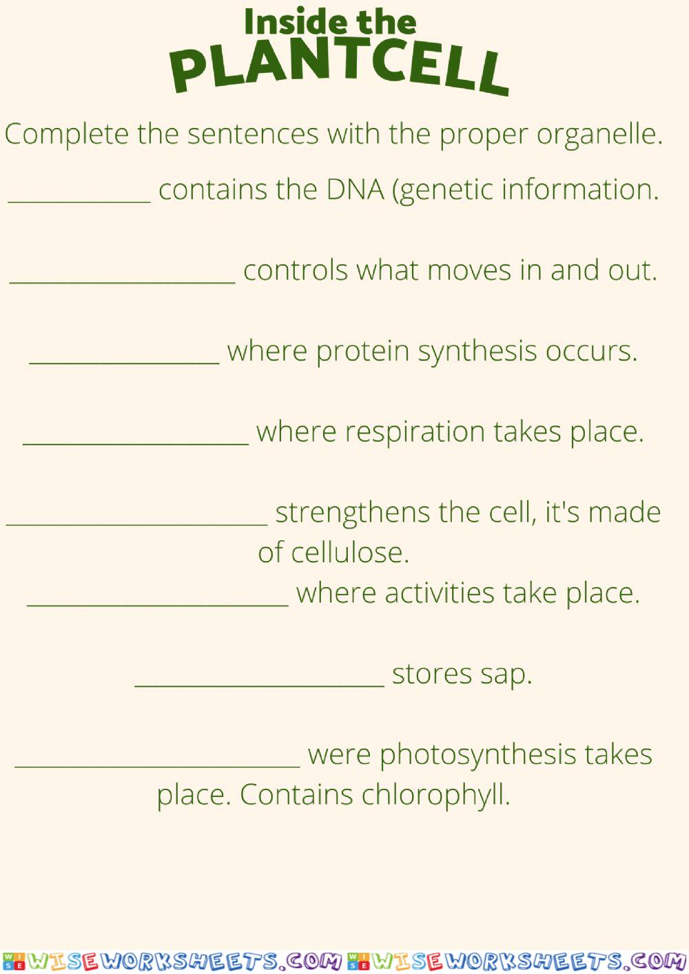 Cell