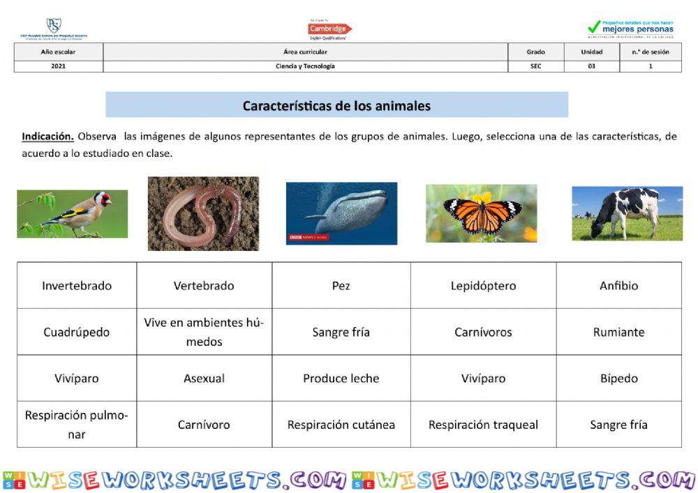 Animales