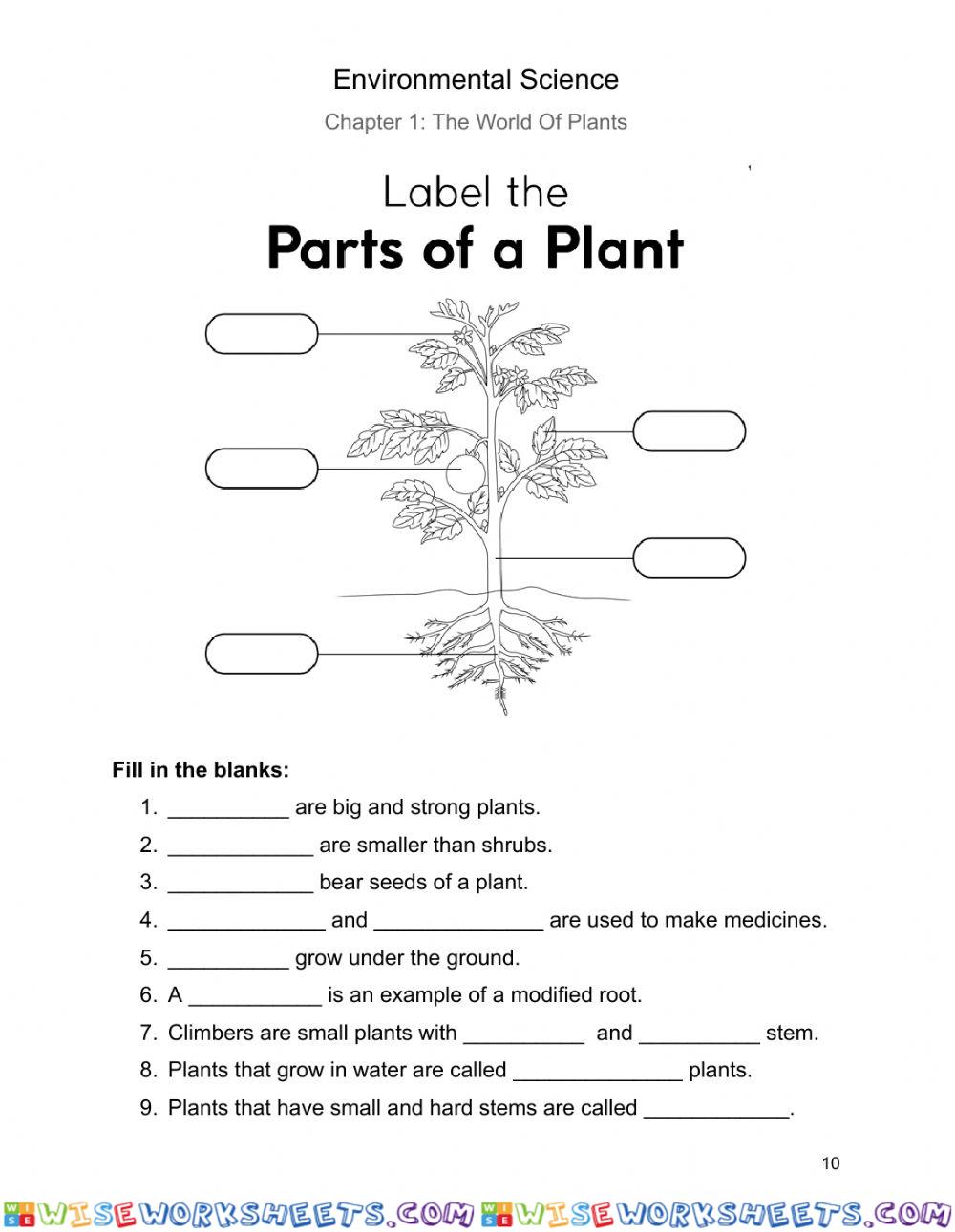 The World of Plants