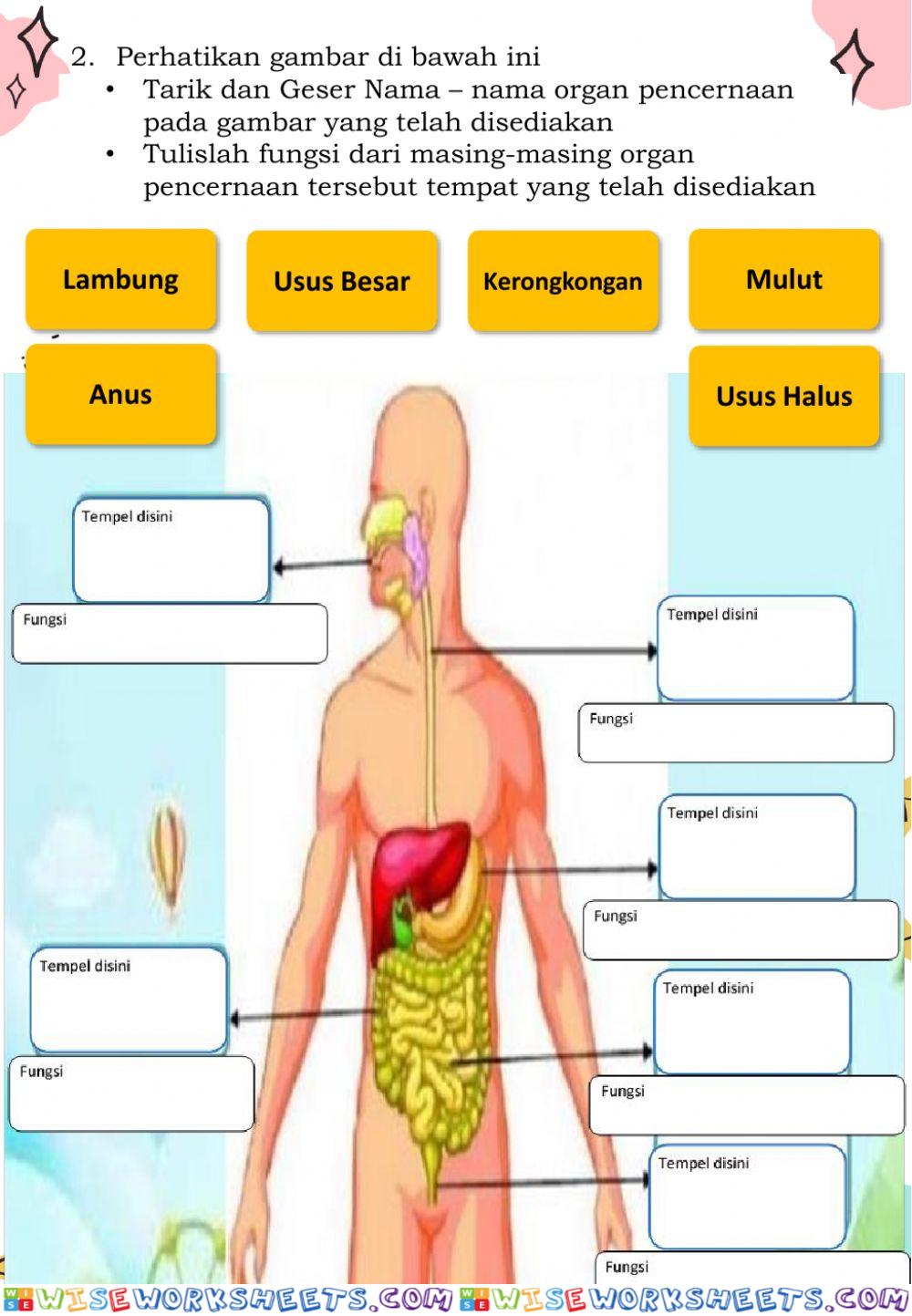 worksheet