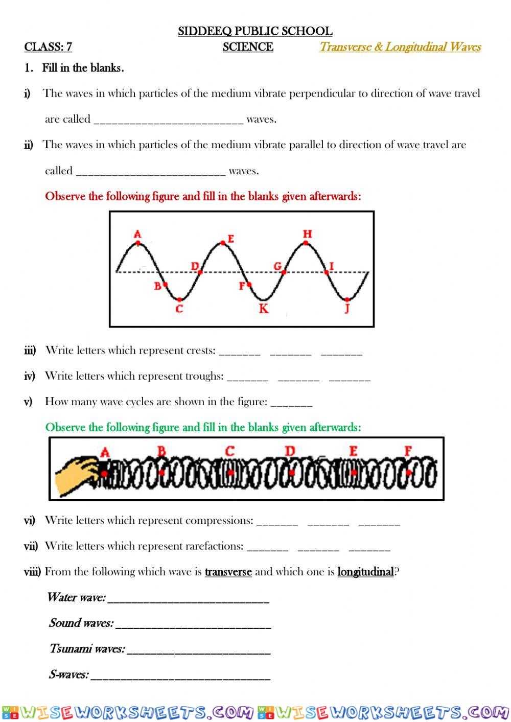 Transverse - Longitudinal waves