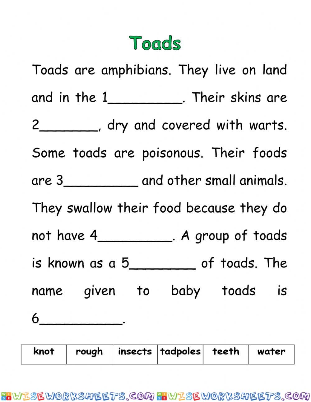 Toads - Year 3 SR Pulaie