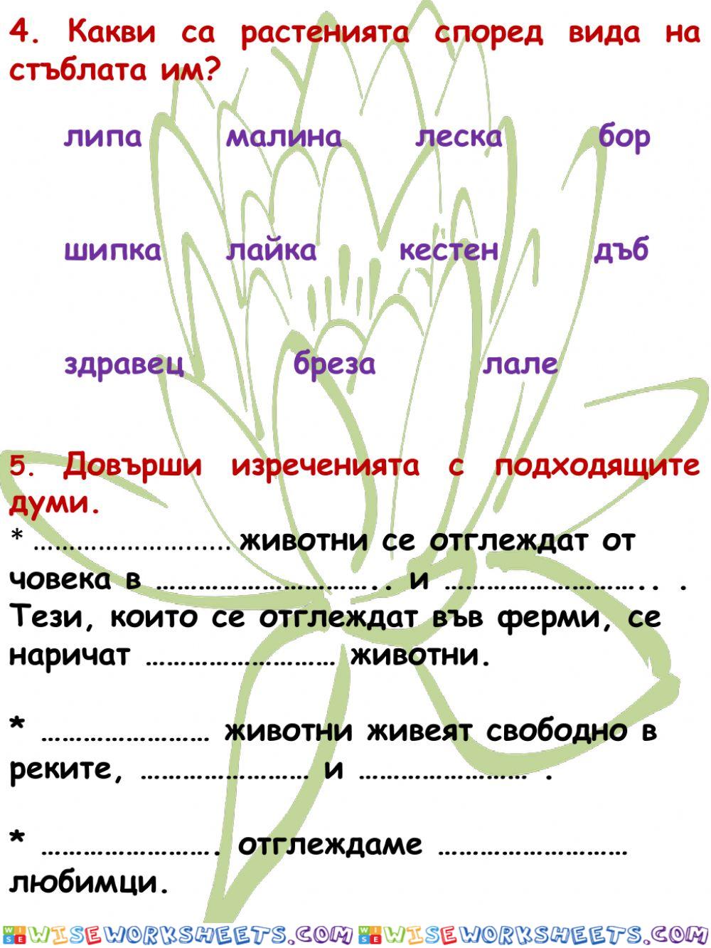 worksheet