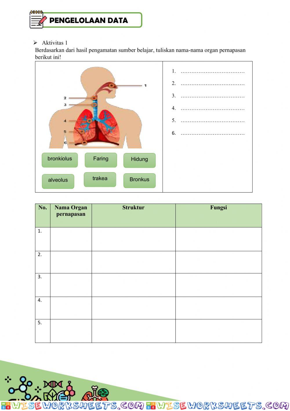 worksheet