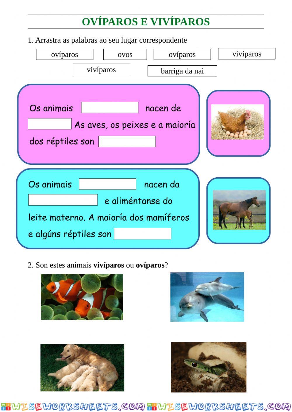 Ovíparos e vivíparos