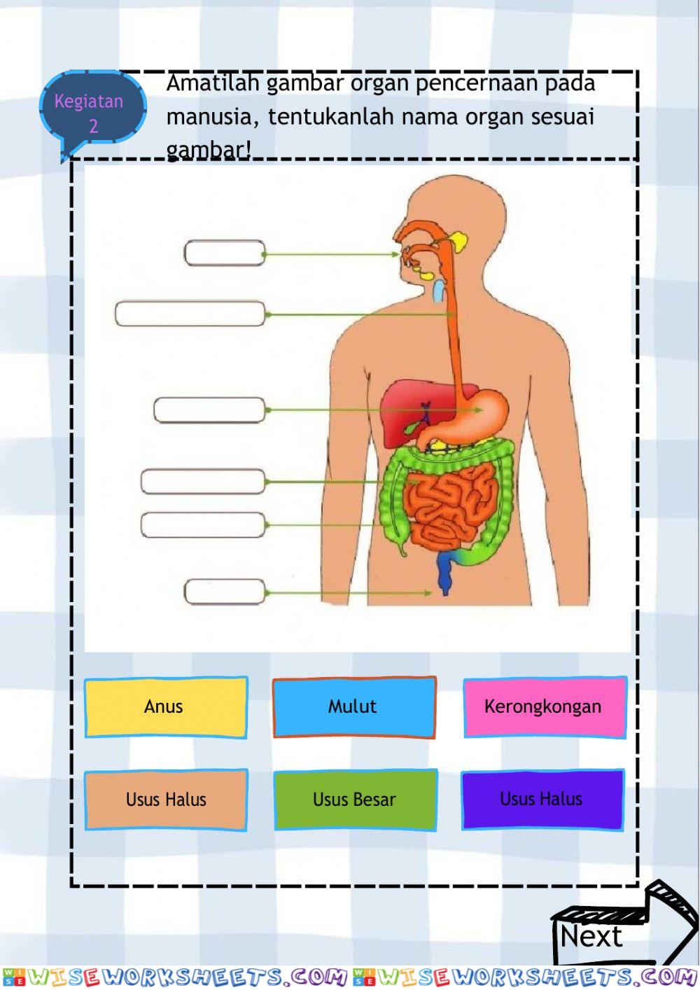 worksheet