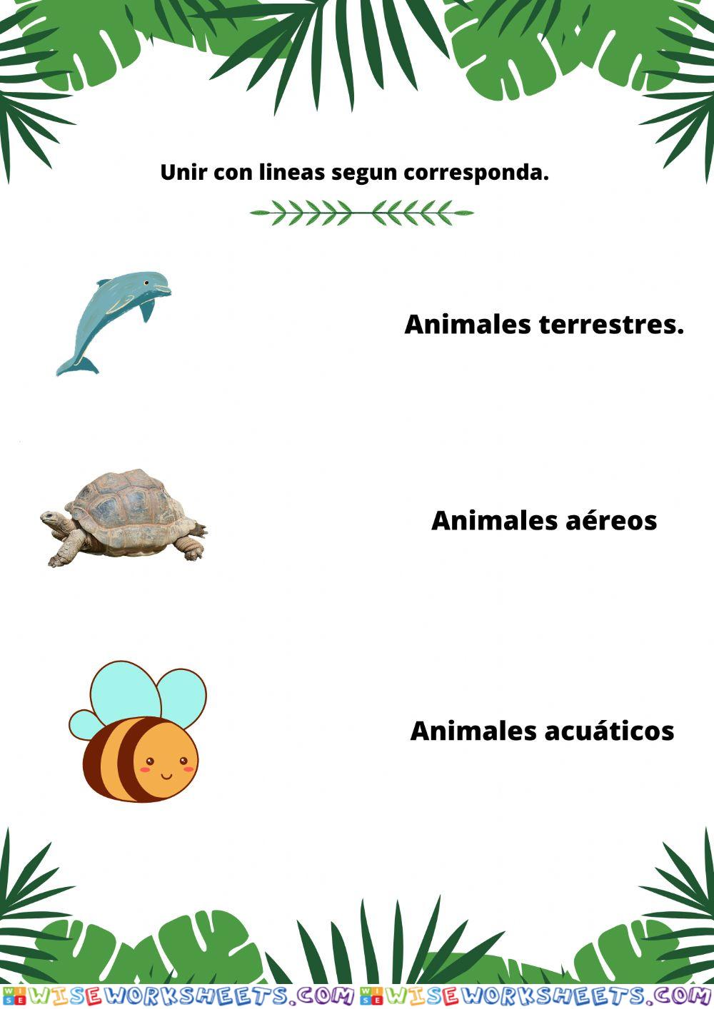 Clasificacion de animales