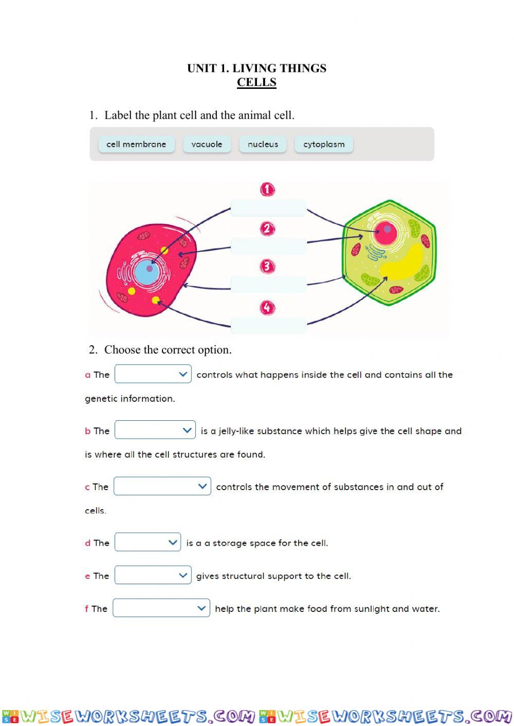 Unit 1. Cells