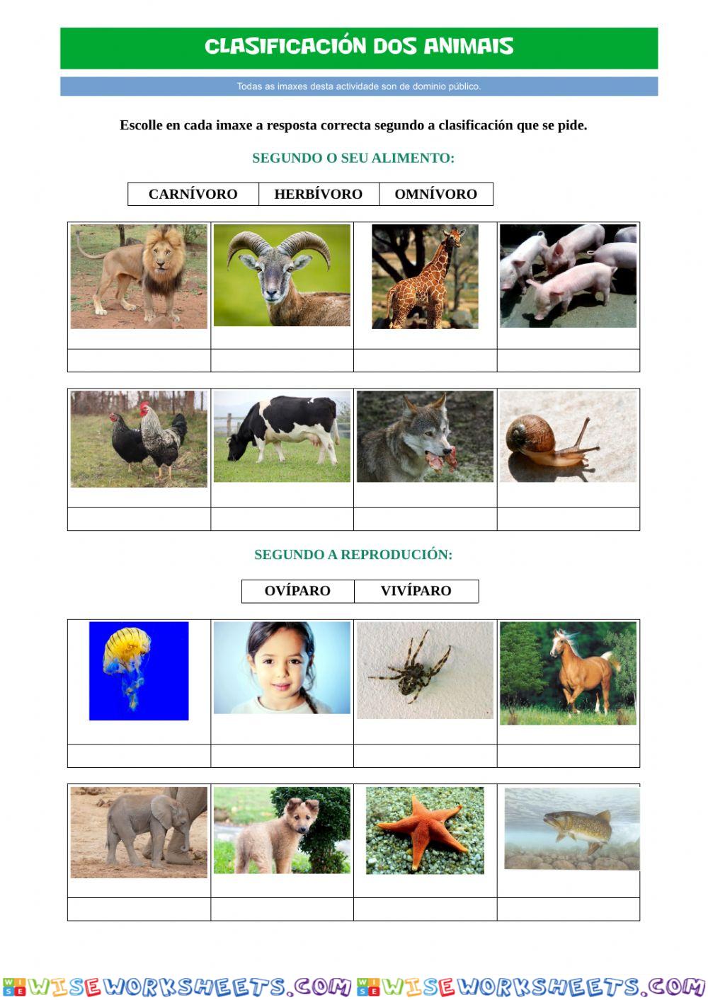 Clasificación dos animais