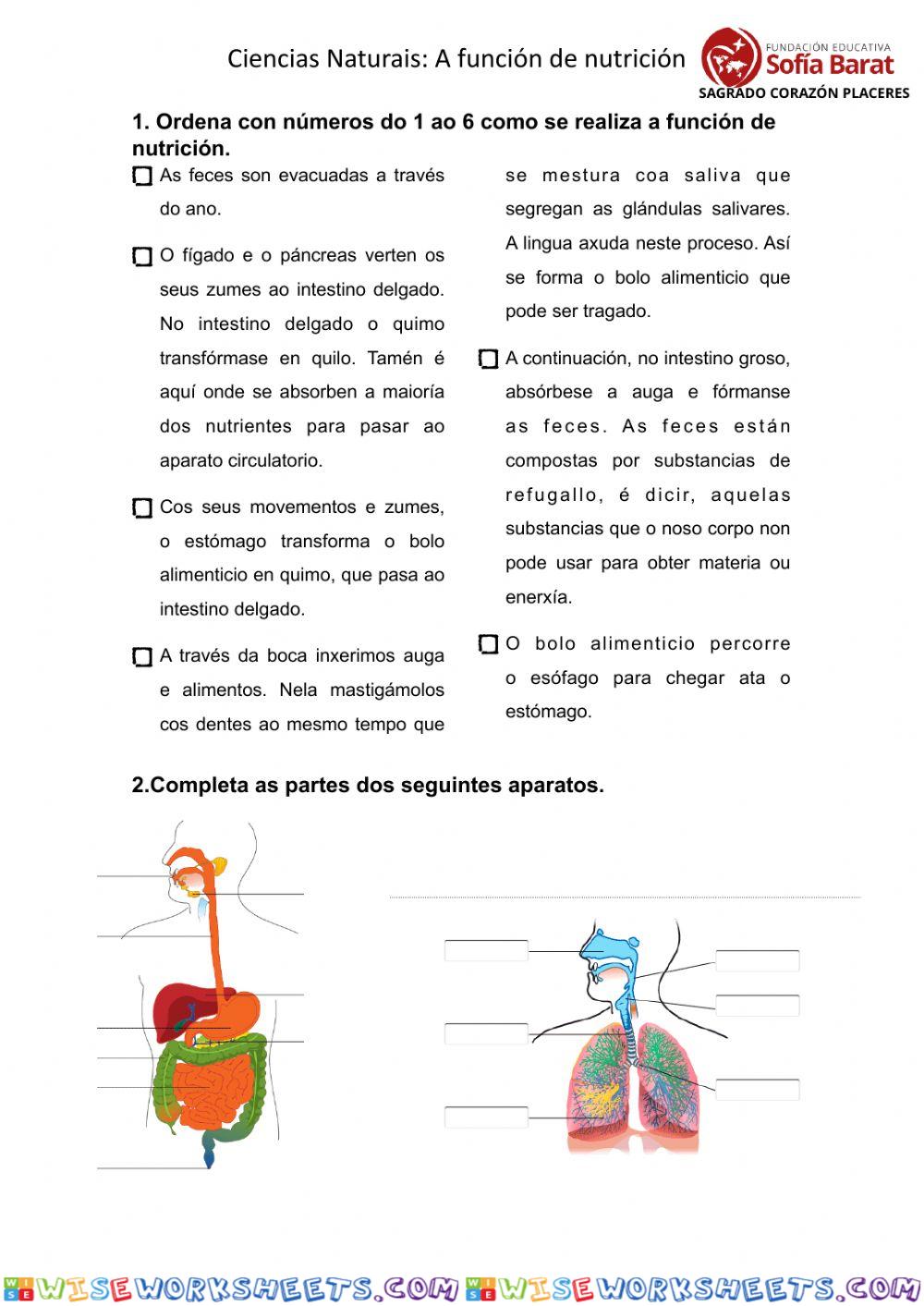 Ciencias Naturais. A nutrición