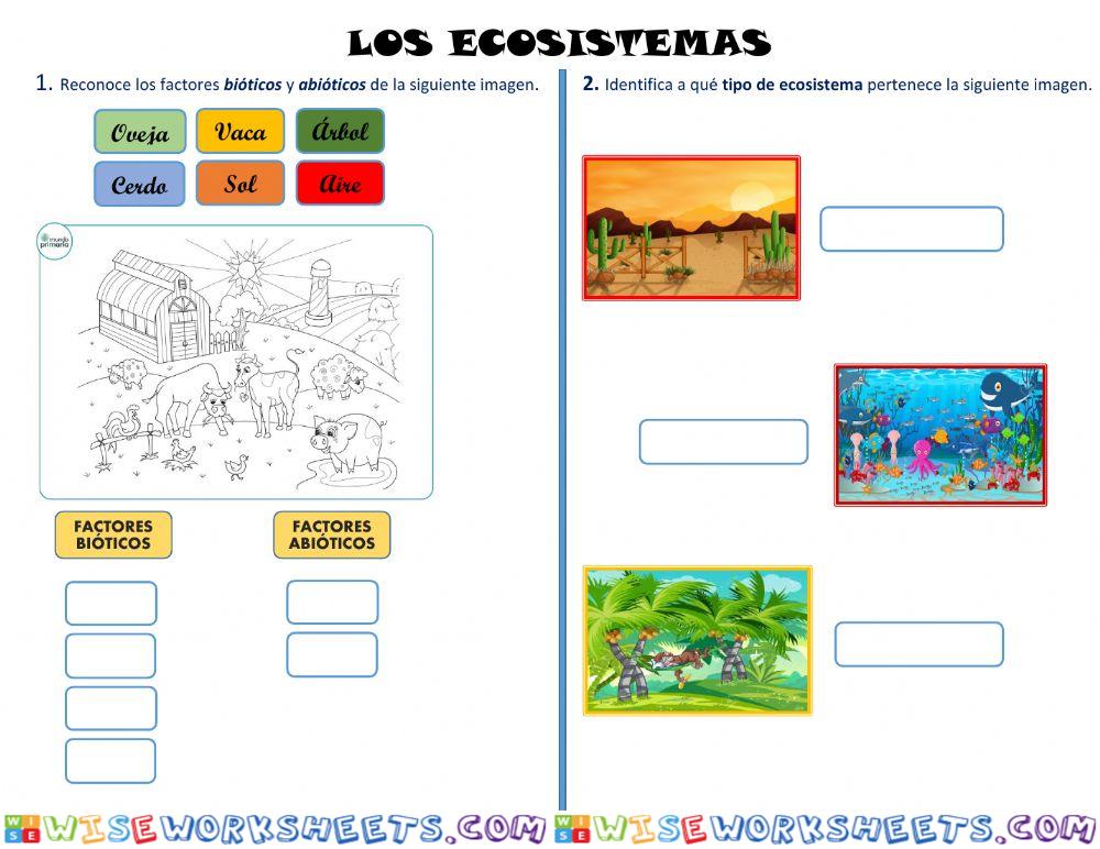Los ecosistemas