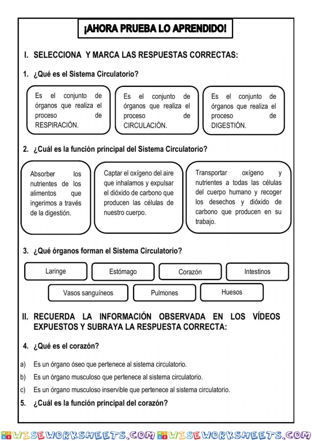 worksheet