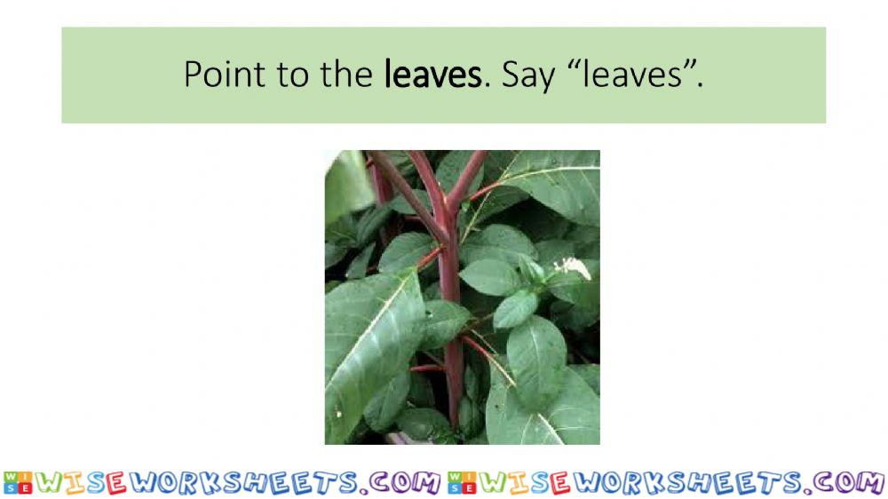 worksheet