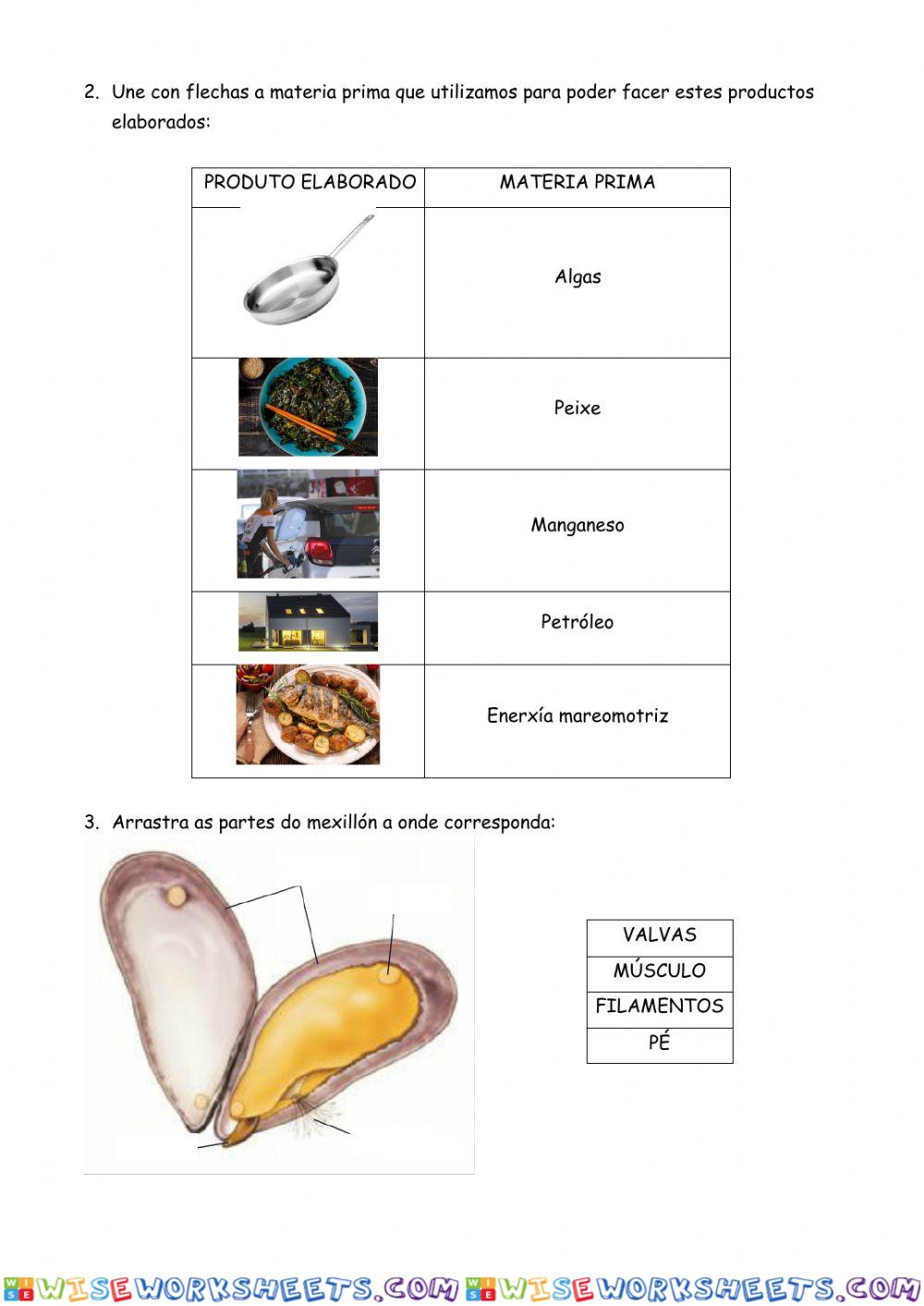 worksheet