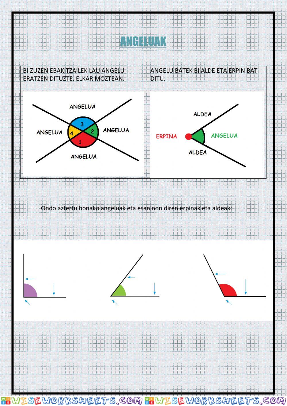 worksheet