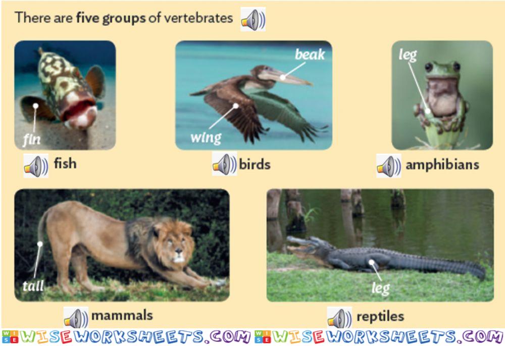 Vertebrates