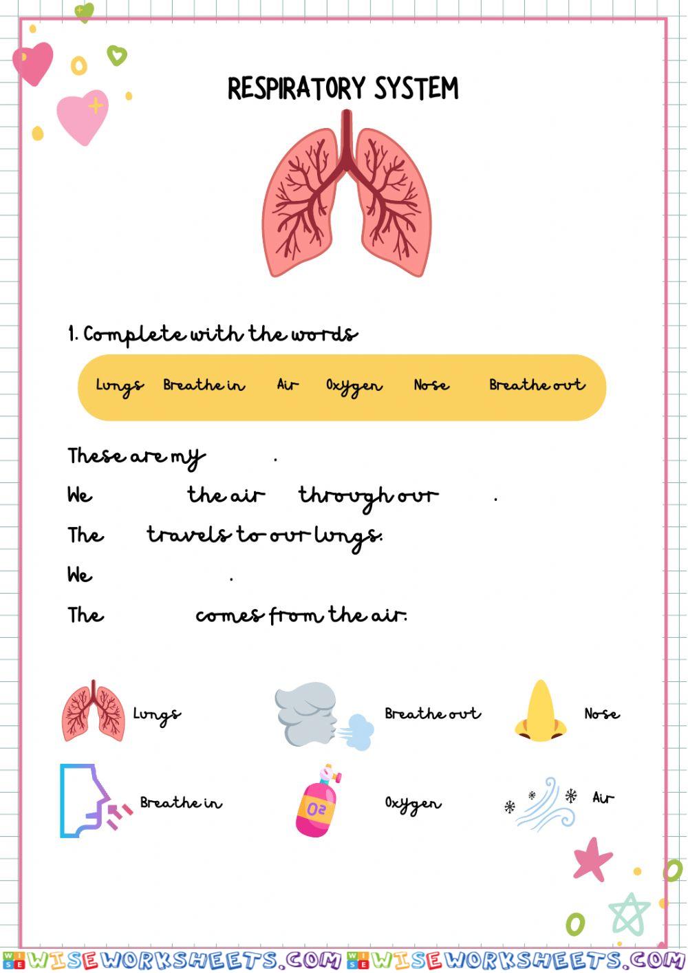 worksheet