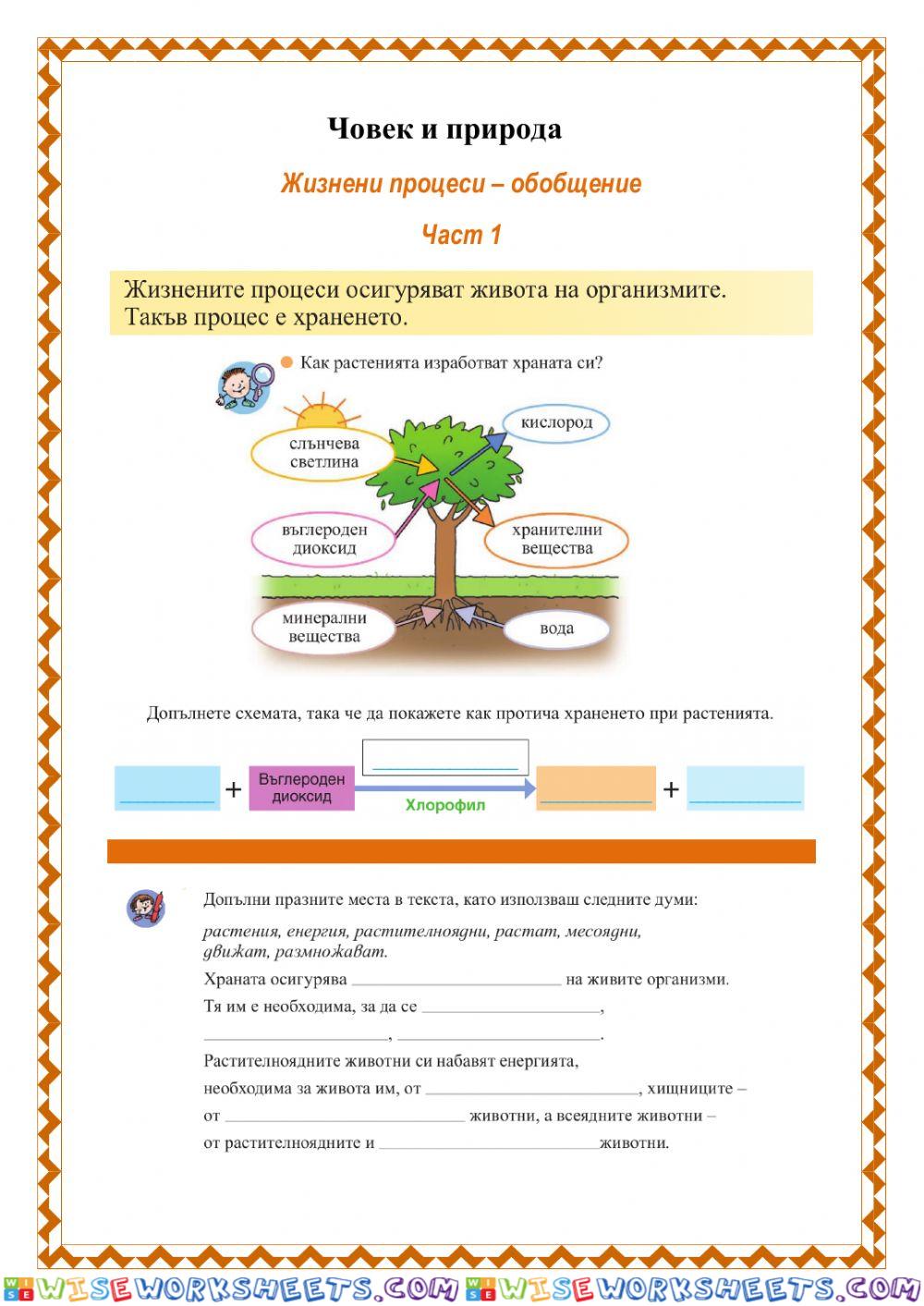 Човек и природа - Жизнени процеси - част 1