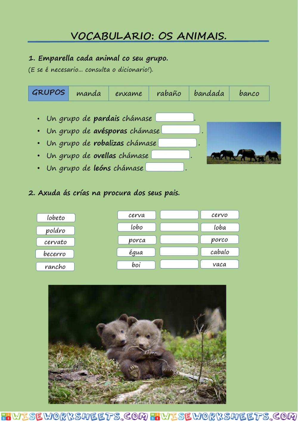 Vocabulario: Os Animais