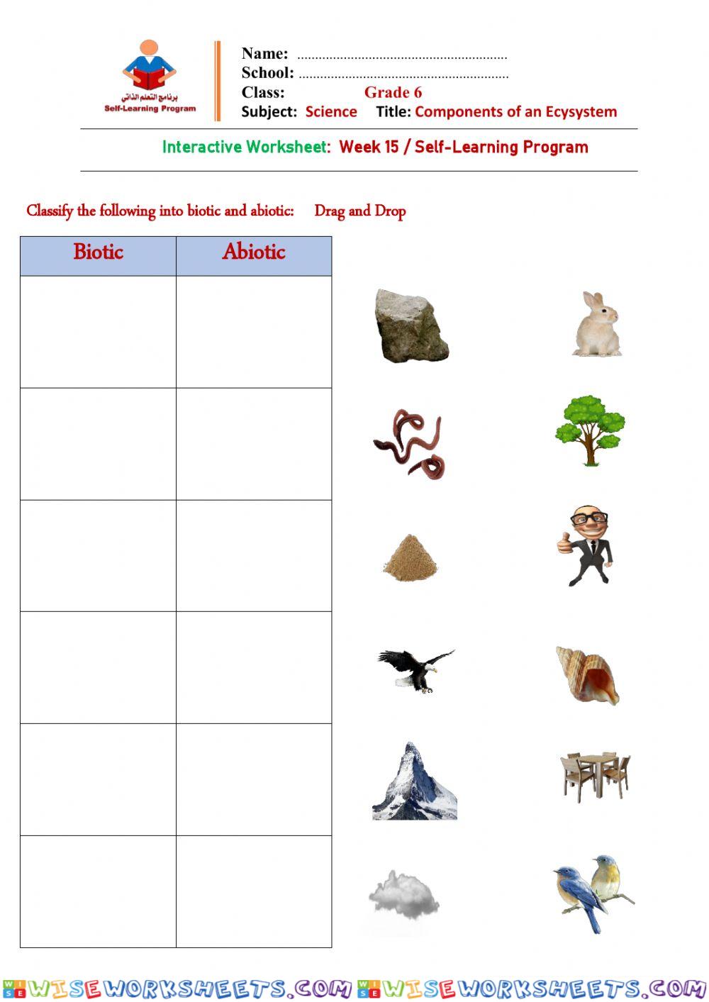 Components of an Ecosystem