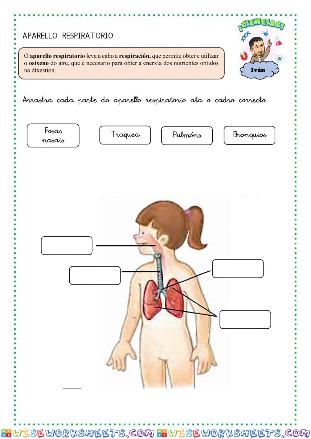 worksheet