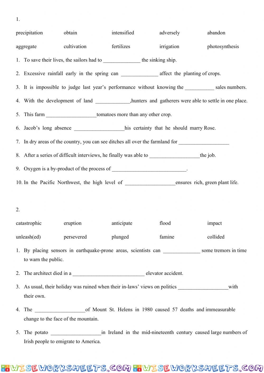 worksheet