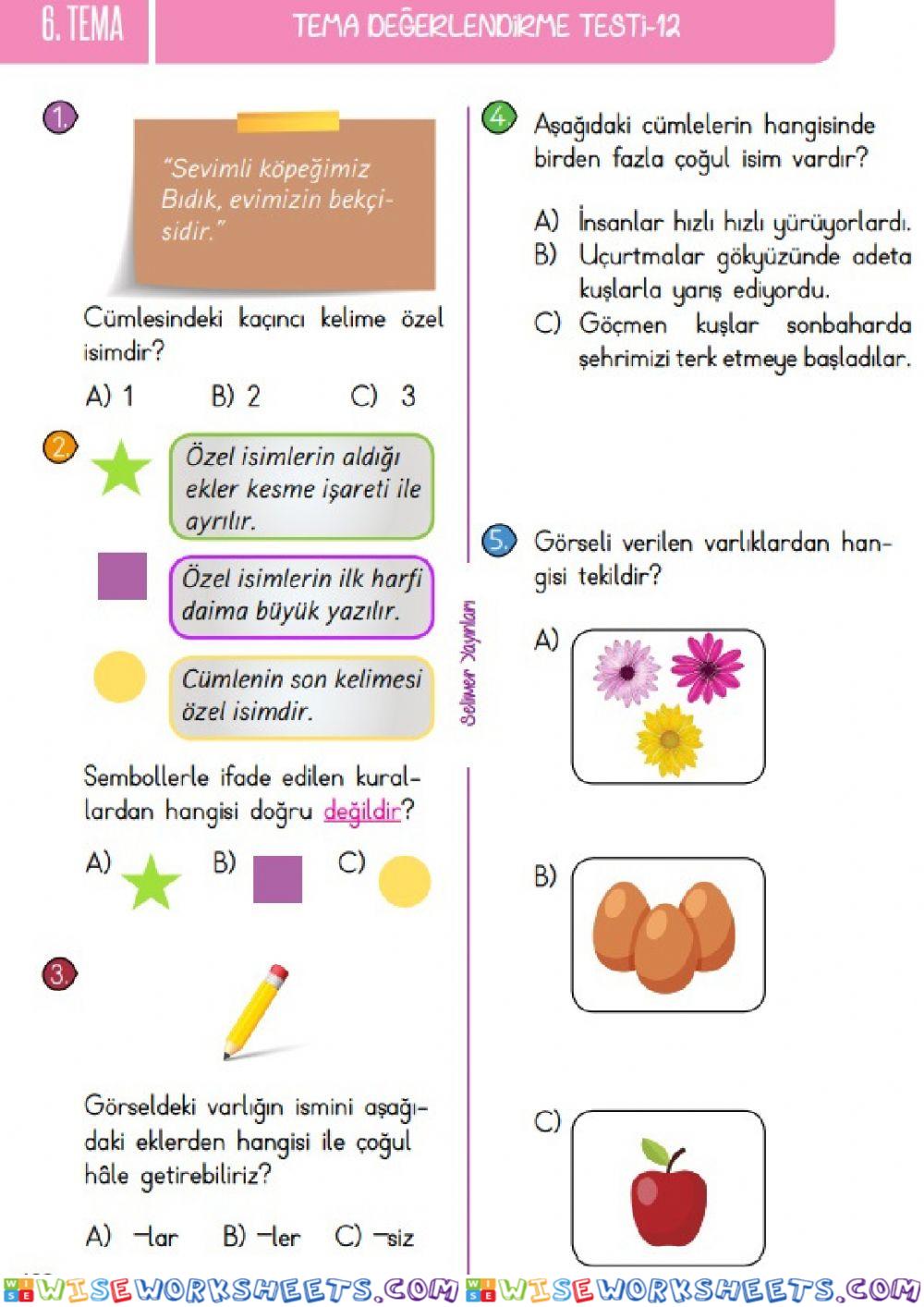 Türkçe-Tema Değerlendirme 6