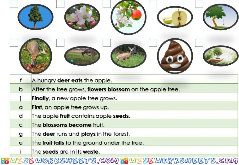 Seed Dispersal - Deer