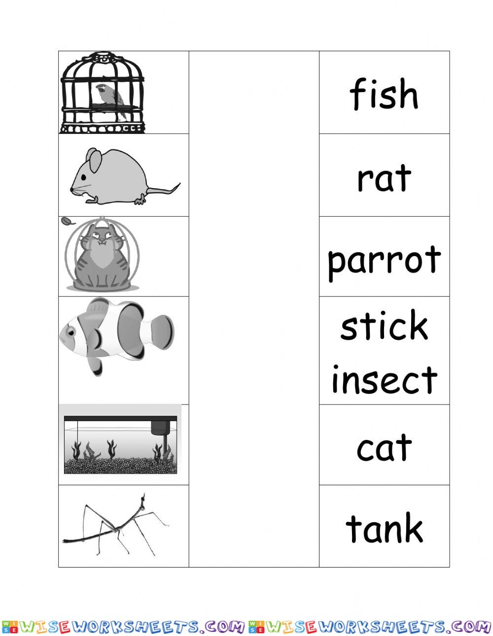 worksheet