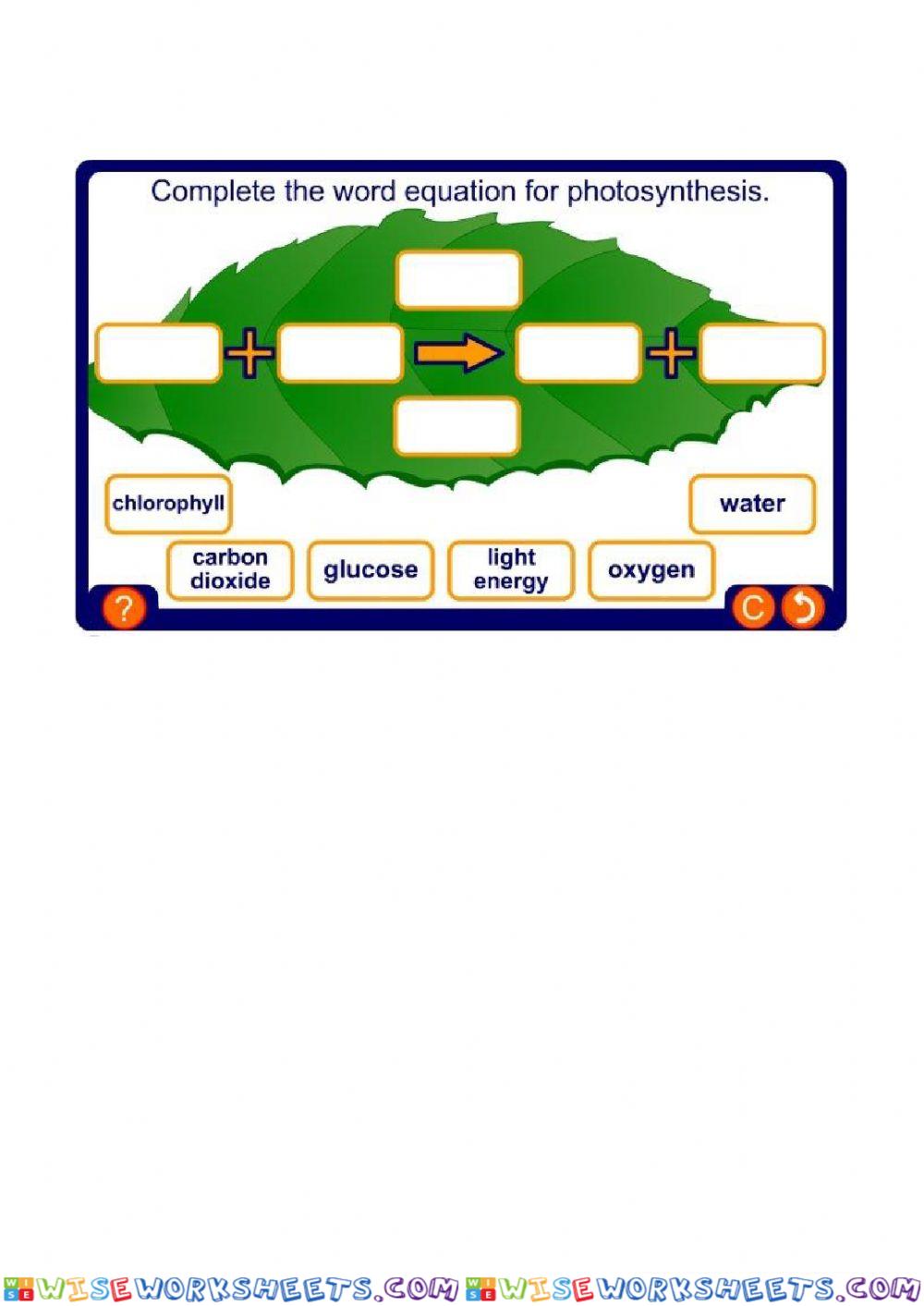 Photosynthesis Equation