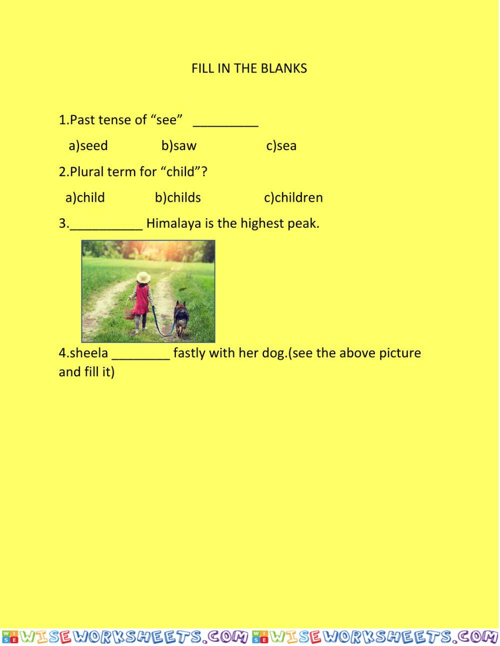 Fill in the blanks