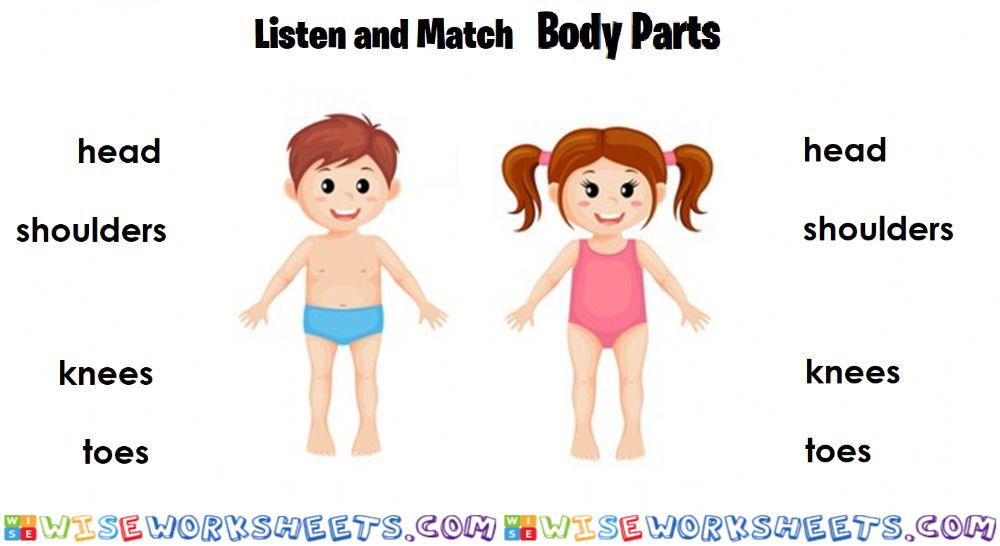 Body parts